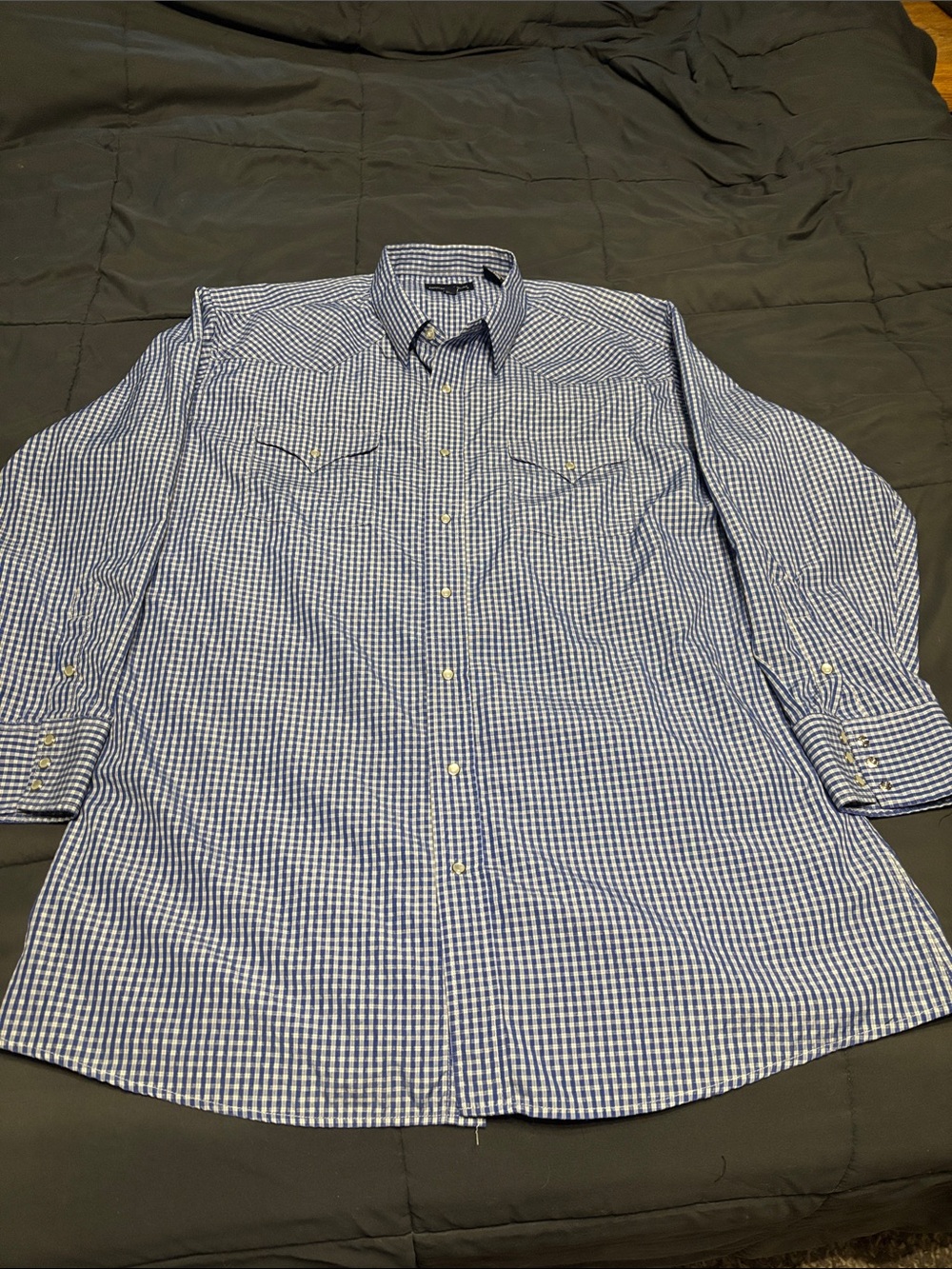 Panhandle Slim Blue & White Gingham Western Button-Down Shirt